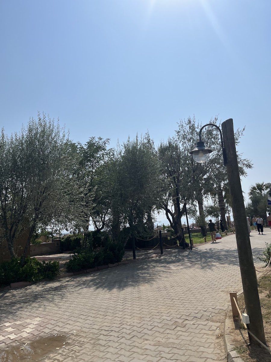 Ayvalık PMEM yürüyüş yolu