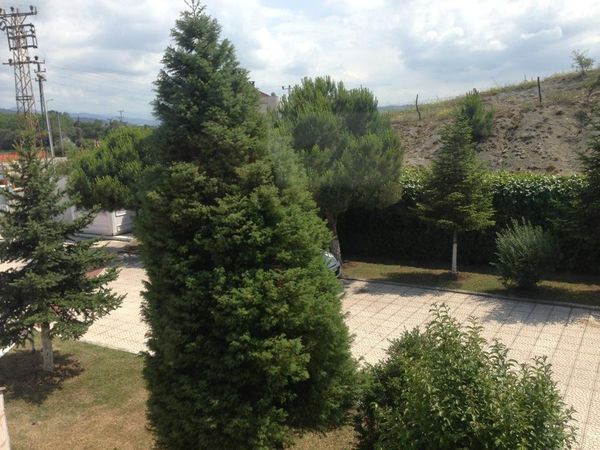 Bartın Polis Evi fotoğraf 2
