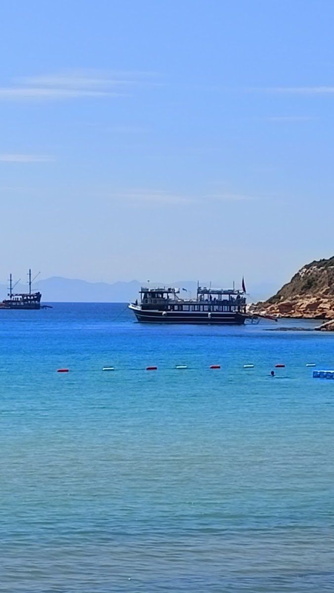Didim PMEM koyu