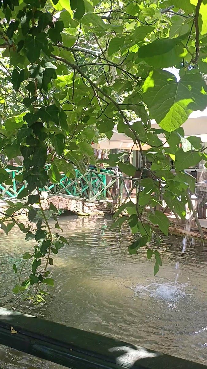 Döşemealtı Polis Sosyal Tesisleri göletinden detay