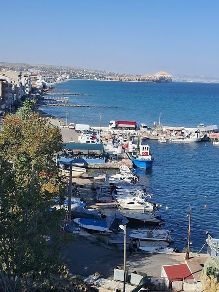 Kumbağ sahili