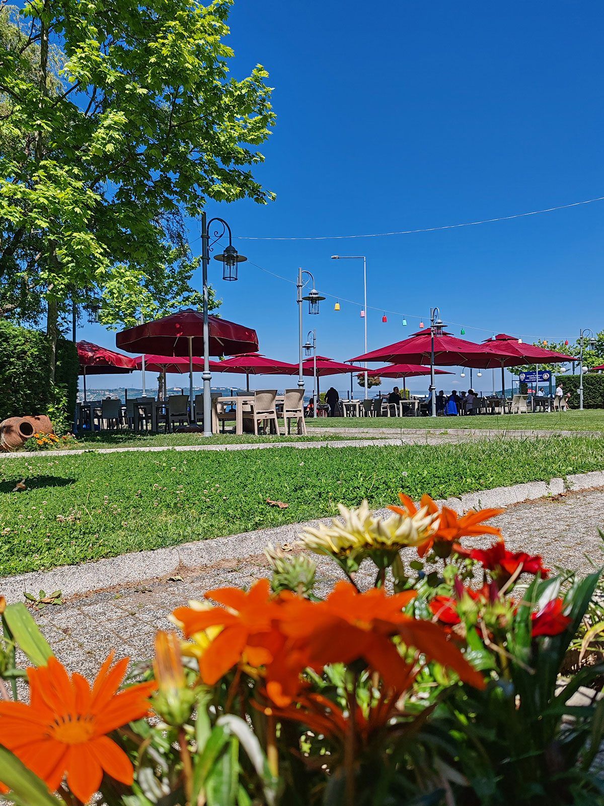 Sakarya Polisevi bahçesi