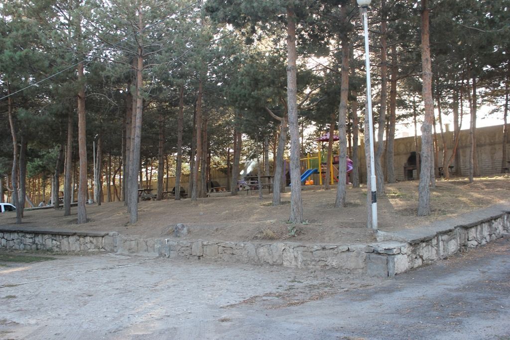 Tatvan Polis Evi'nin çamlık alanı