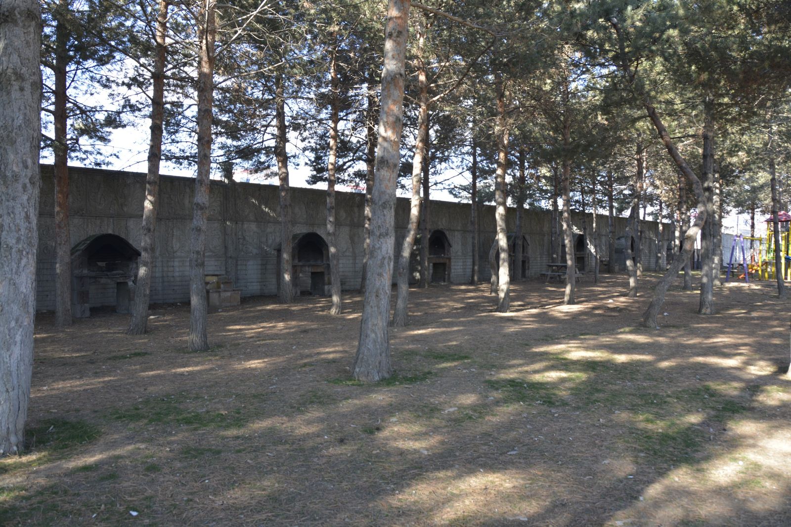 Tatvan Polis Evi'nde çamlık içindeki piknik ve mangal alanı