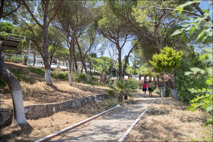 Urla Polis Kampı çamlık yürüyüş yolu