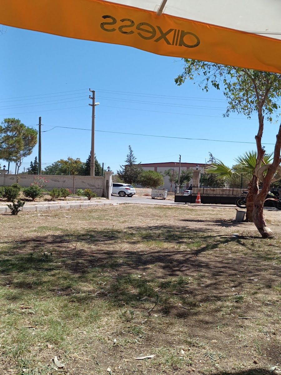 Yenifoça Polis Evi bahçesindeki ağaçlık alan